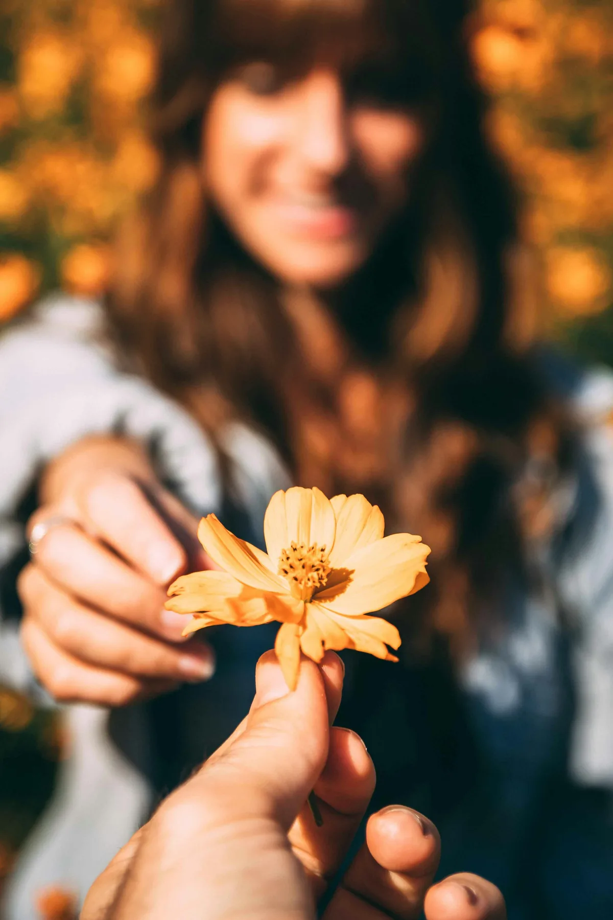 A tender moment — sharing warmth through a single flower